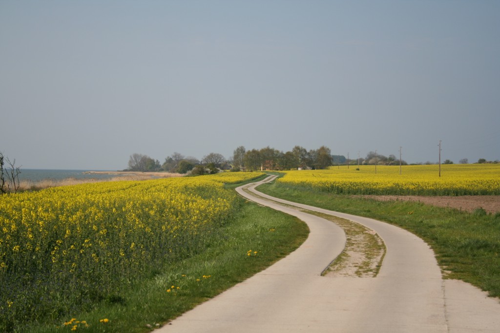 Weg zum "Having-Hof" ...immer weiter fahren...